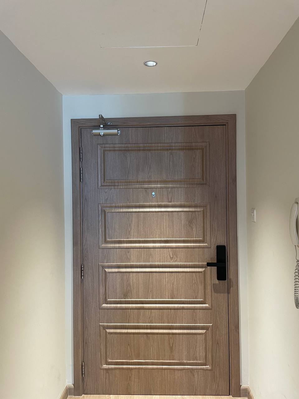 A well-lit hallway features a modern light-wood paneled door equipped with a sleek black handle, a door closer, and a pe