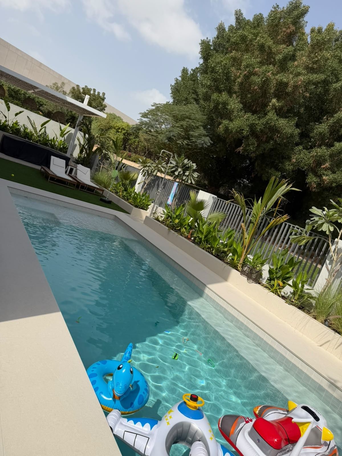 Long lap pool with planting along the fence