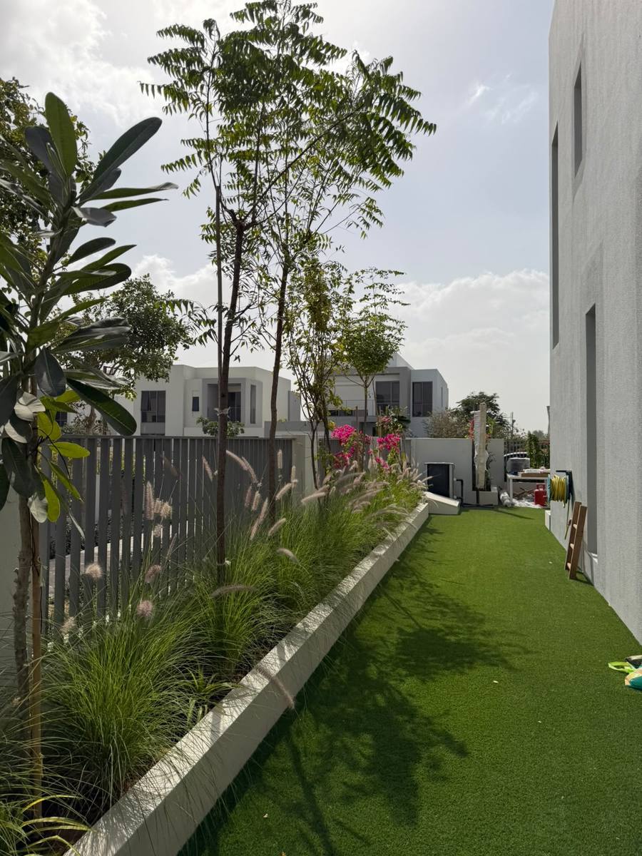 Side garden with young trees, planting strip and artificial grass