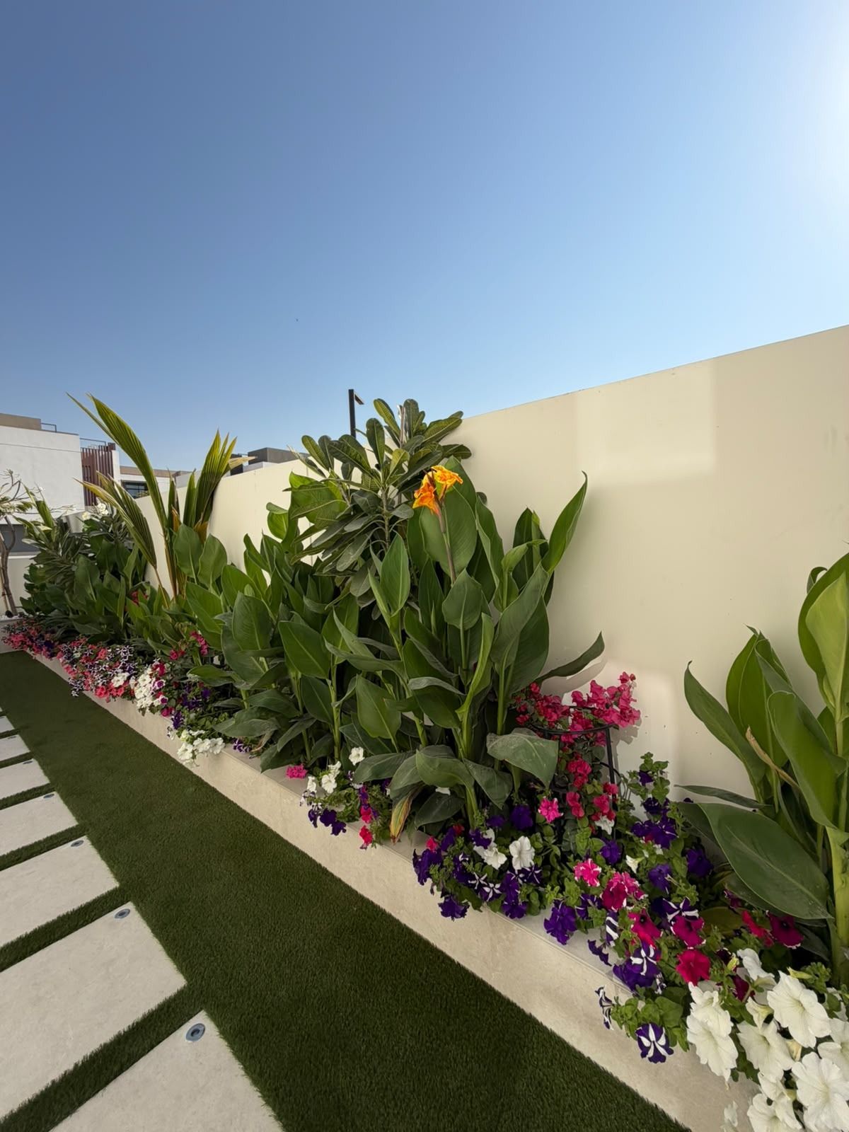 Raised planter with canna lilies, petunias and tropical foliage beside artificial grass