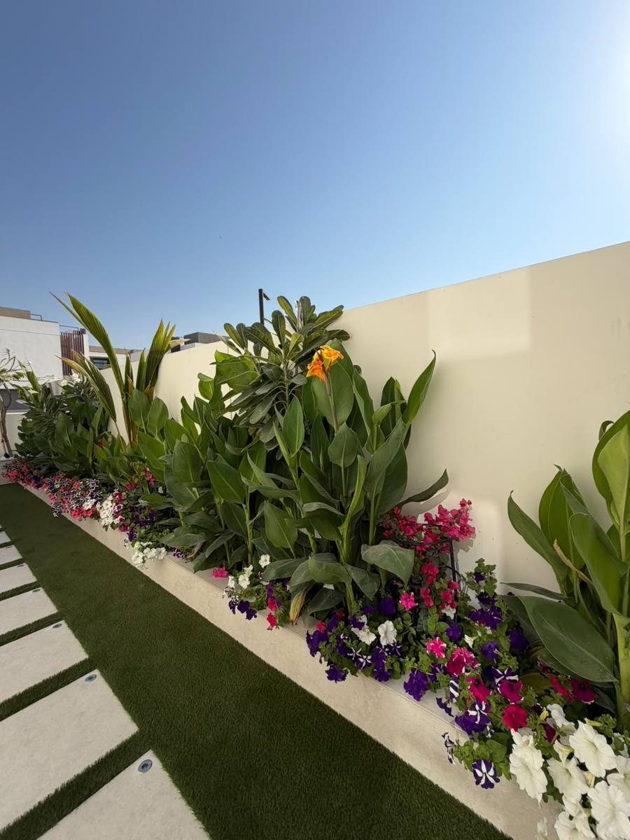 Raised planter with canna lilies, petunias and tropical foliage beside artificial grass