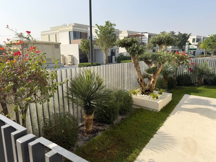 Front garden with olive trees and planting along a pathway