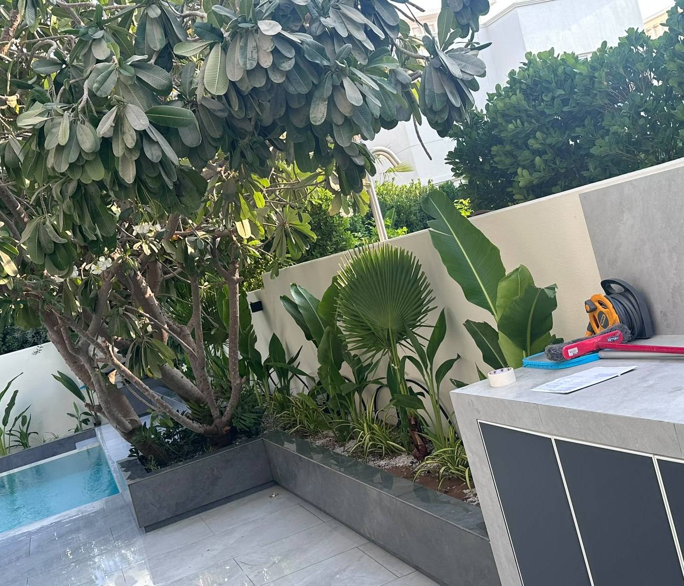 Villa garden with a frangipani tree, a small swimming pool and raised planters of tropical foliage against grey and white walls