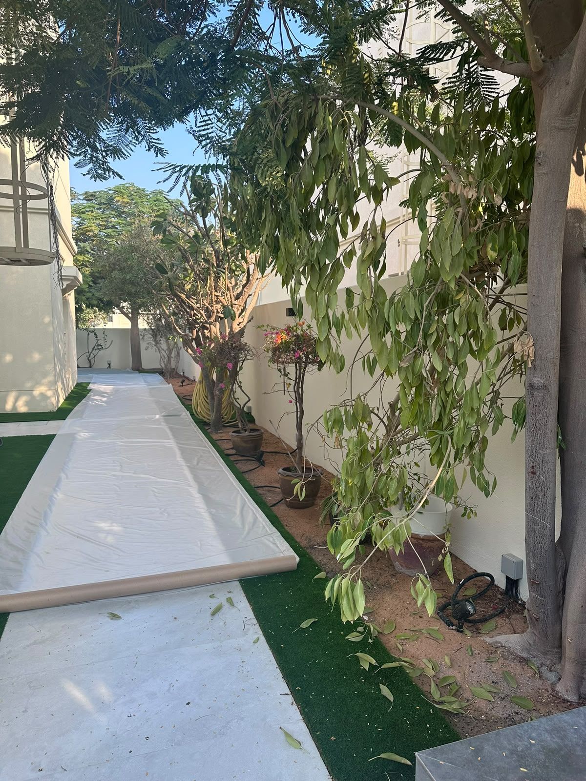 Garden path under protective sheeting during works
