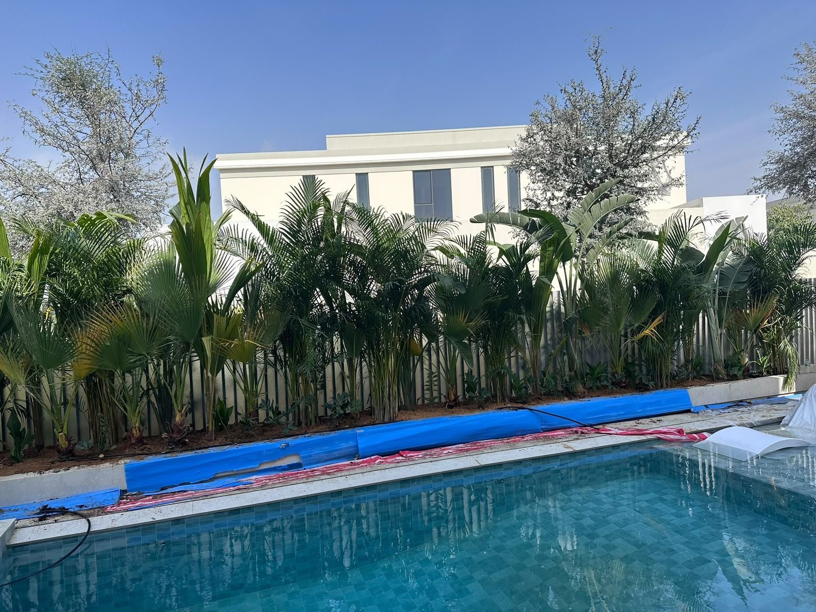 New pool with blue mosaic and garden around it during works