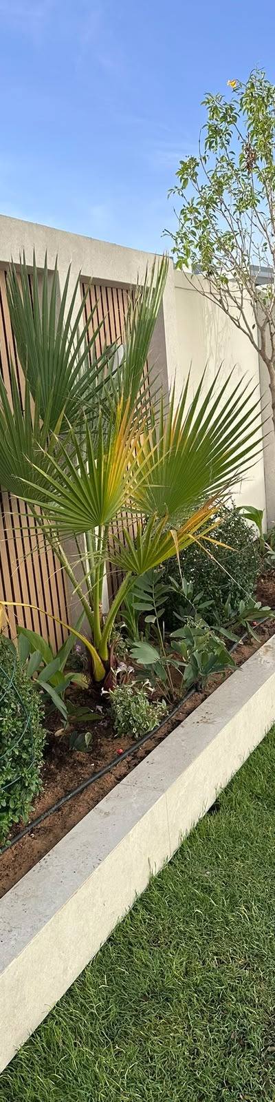 Landscaping company Dubai: how to choose and what it costs