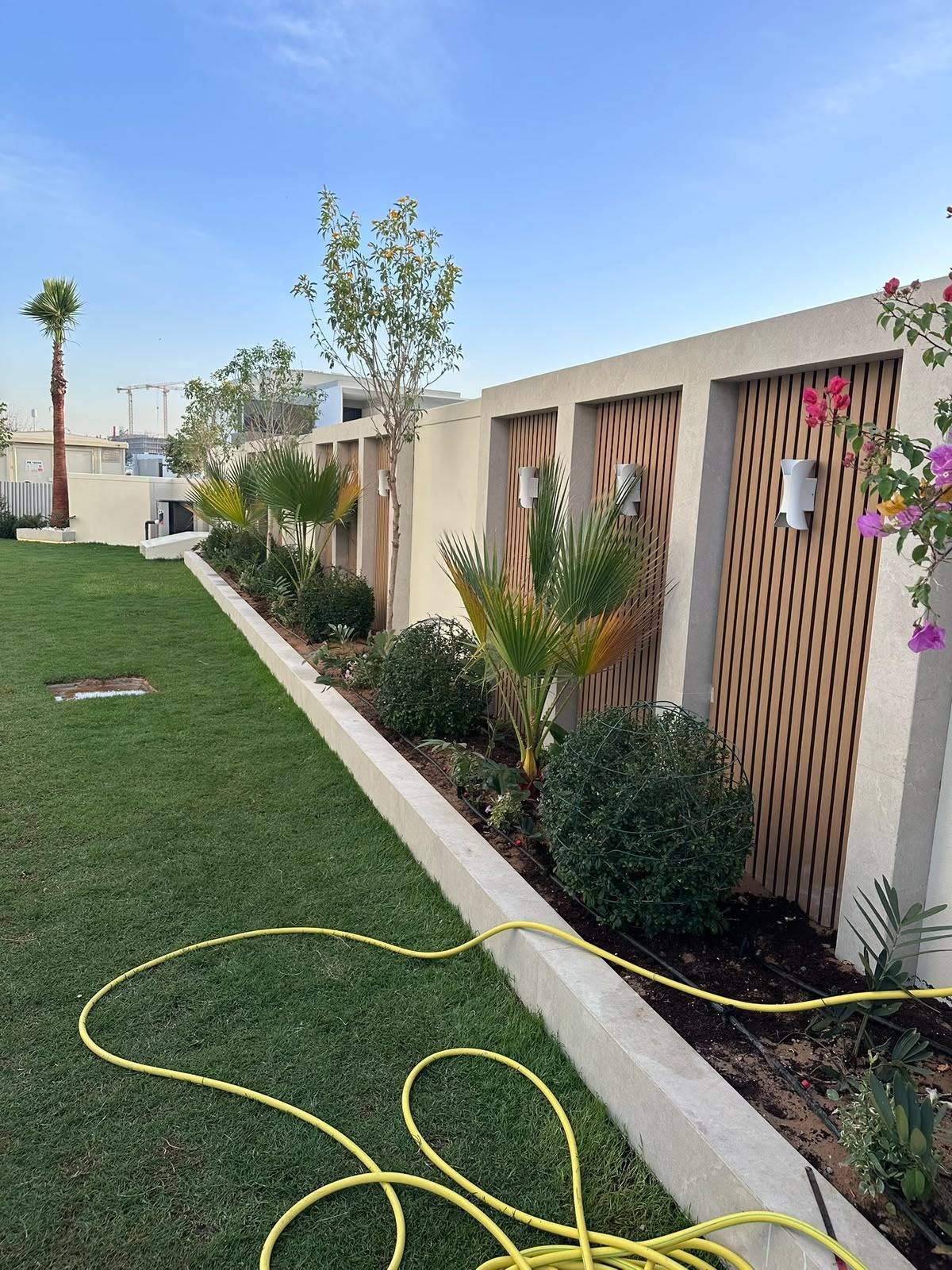 Landscaped garden with a lush lawn, a raised planter of tropical plants and a slatted boundary wall with white wall lights