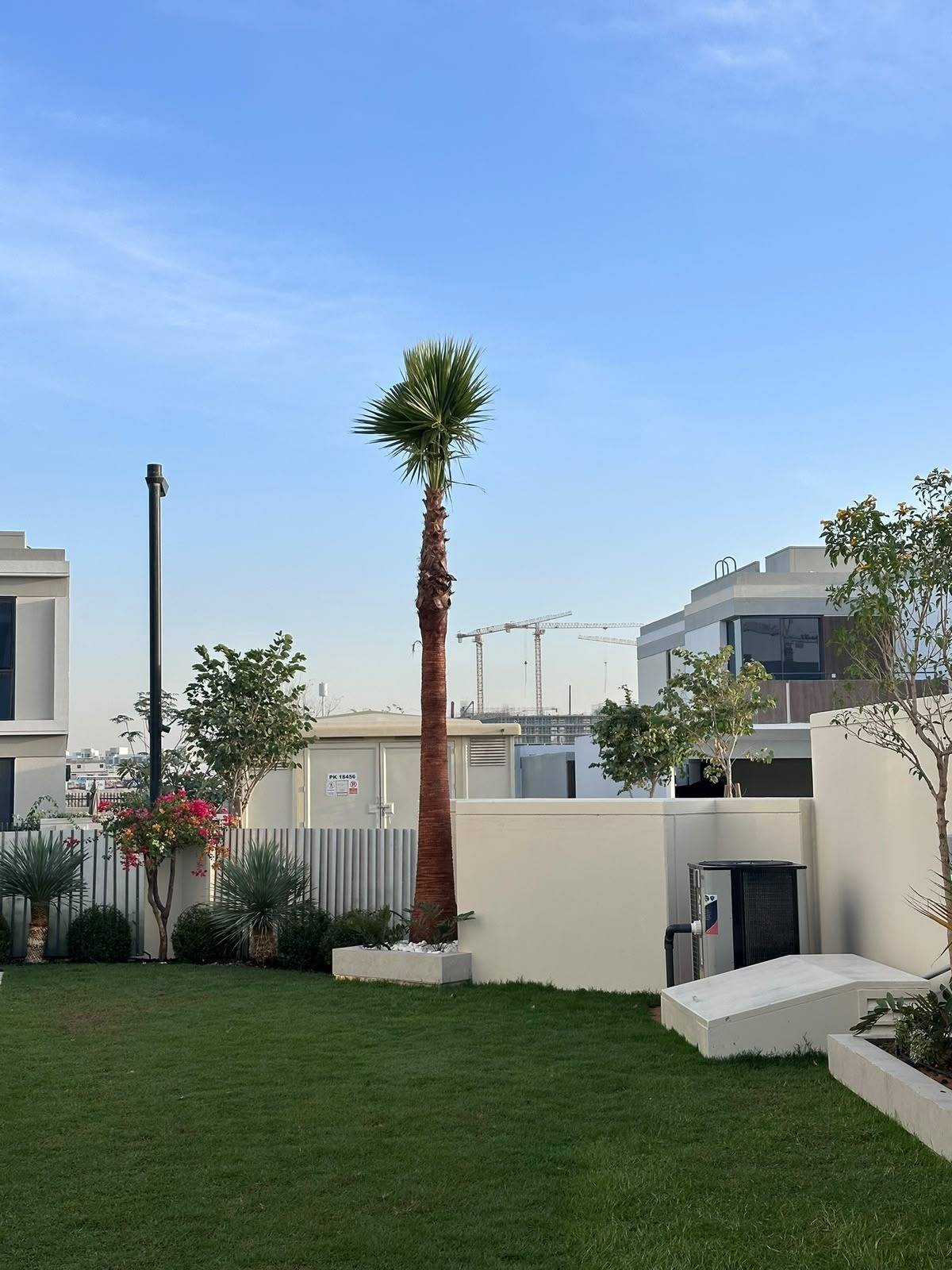 Palm garden planted and turfed — on site, A&B Design & Build