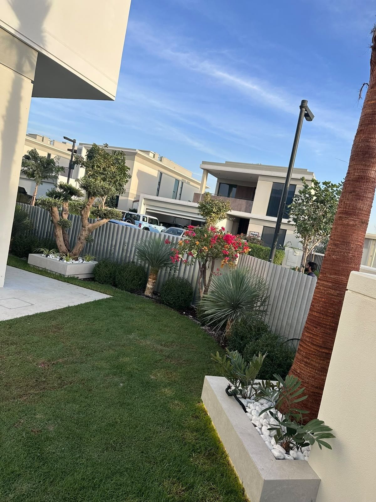 Modern villa garden with lawn, concrete planters and mixed planting