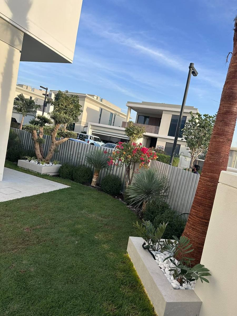 Modern villa garden with lawn, concrete planters and mixed planting